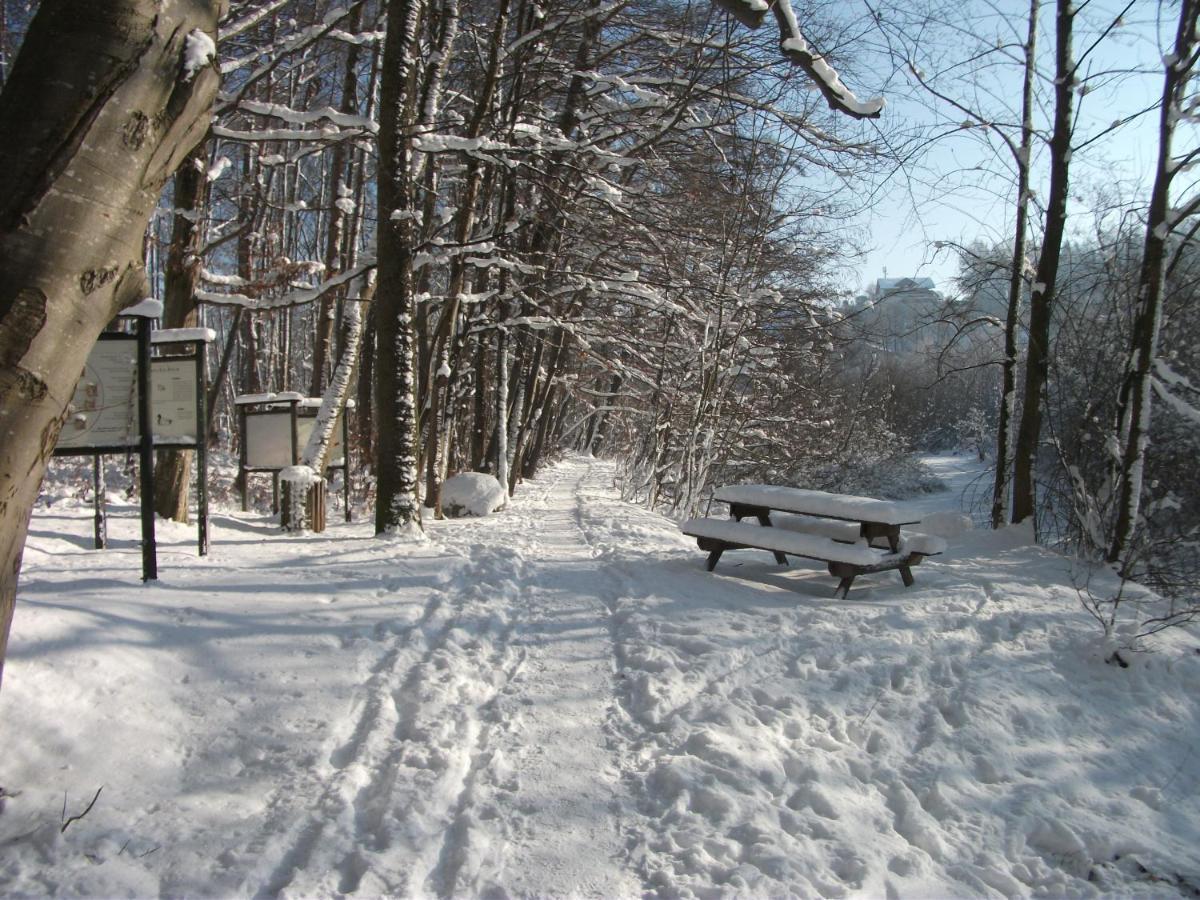 Ferienwohnung Krottensee Гмунден Экстерьер фото